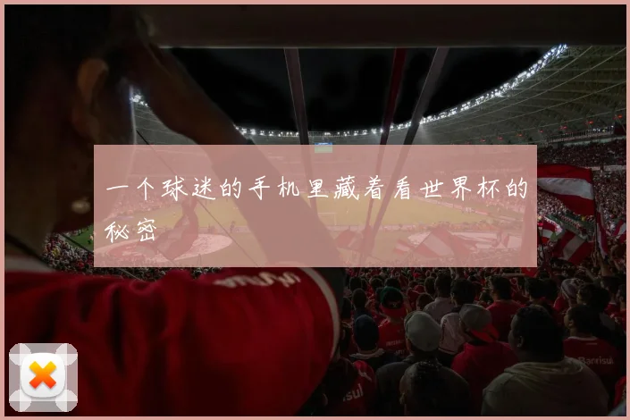 一个球迷的手机里藏着看世界杯的秘密