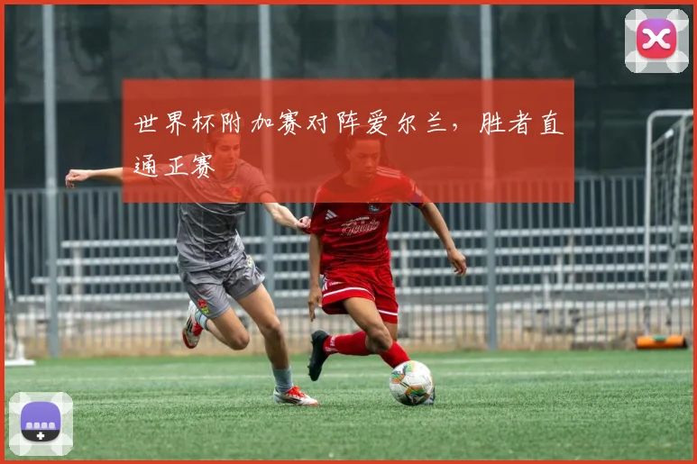 世界杯附加赛对阵爱尔兰，胜者直通正赛