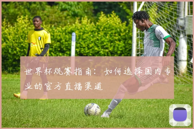 世界杯观赛指南：如何选择国内专业的官方直播渠道