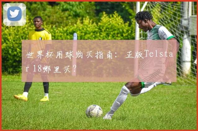 世界杯用球购买指南：正版Telstar 18哪里买？