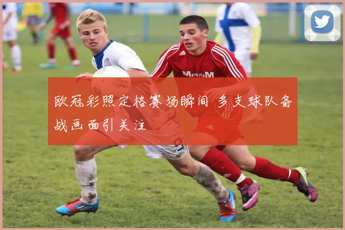 欧冠彩照定格赛场瞬间 多支球队备战画面引关注