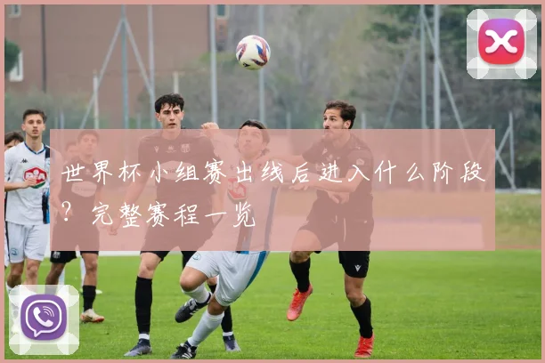 世界杯小组赛出线后进入什么阶段？完整赛程一览