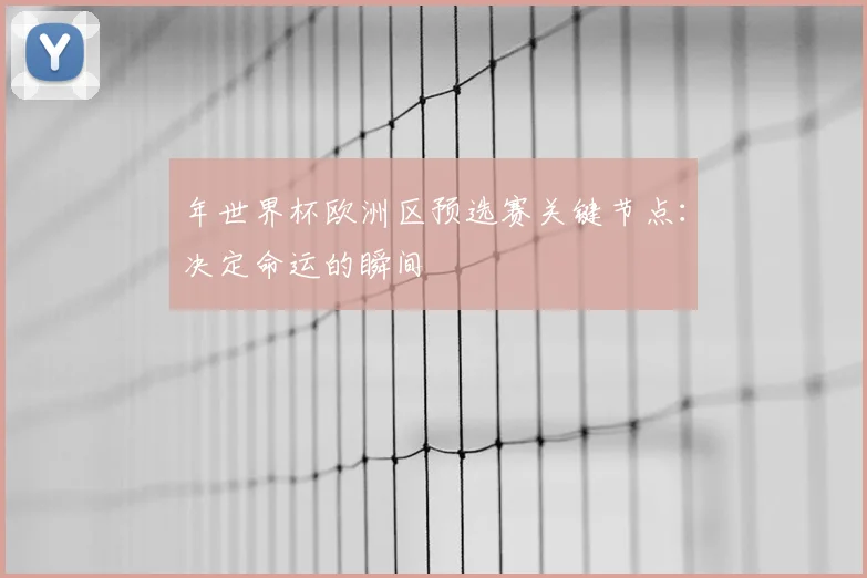 年世界杯欧洲区预选赛关键节点：决定命运的瞬间