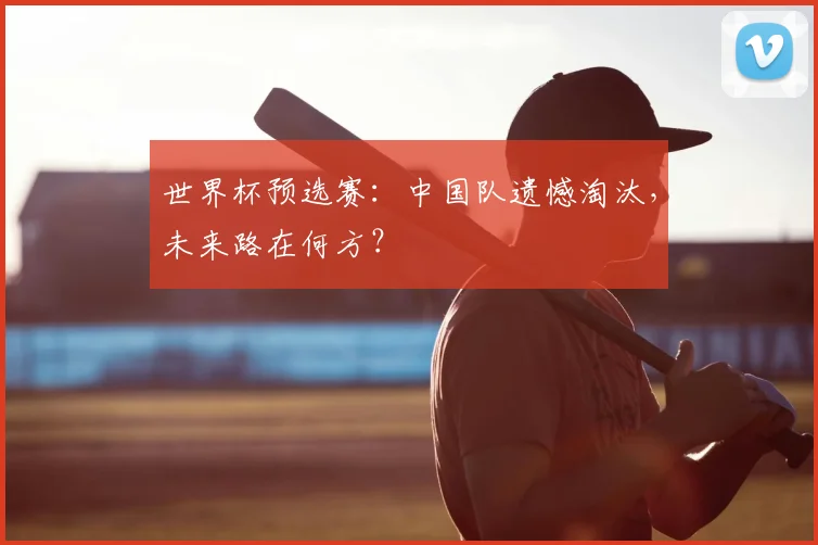 世界杯预选赛：中国队遗憾淘汰，未来路在何方？