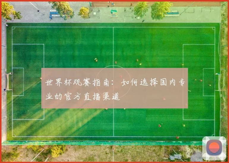 世界杯观赛指南：如何选择国内专业的官方直播渠道