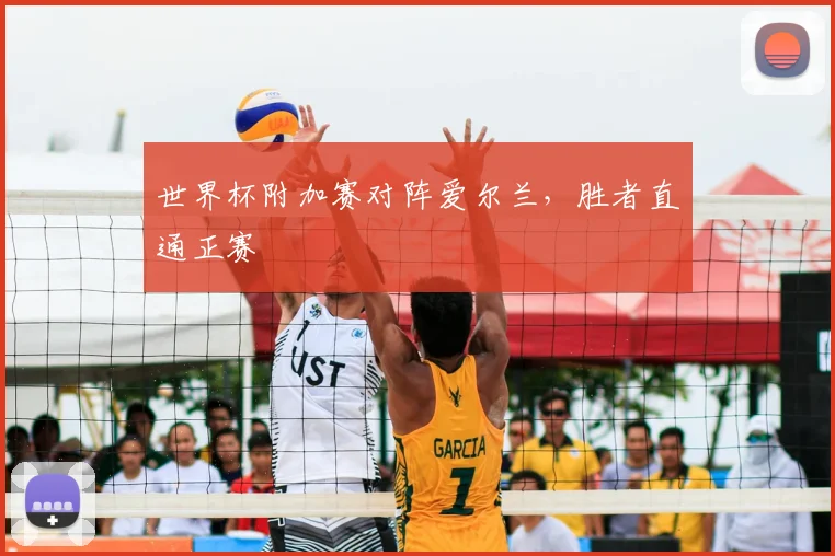 世界杯附加赛对阵爱尔兰,胜者直通正赛