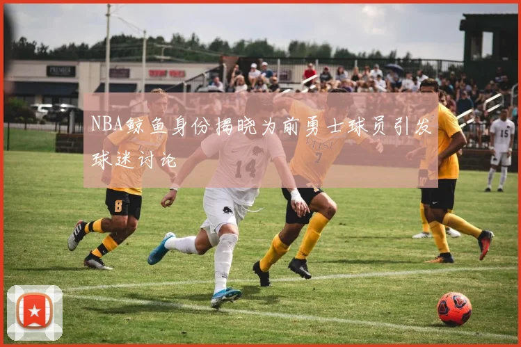 NBA鲸鱼身份揭晓为前勇士球员引发球迷讨论