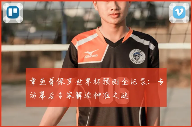 章鱼哥保罗世界杯预测全记录:专访幕后专家解读神准之谜