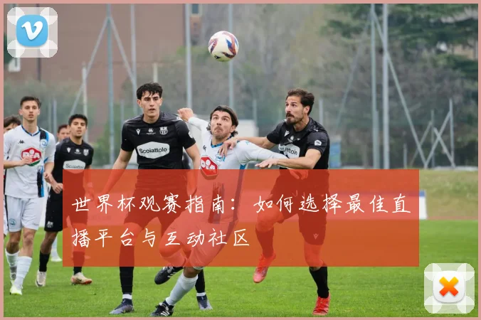 世界杯观赛指南：如何选择最佳直播平台与互动社区