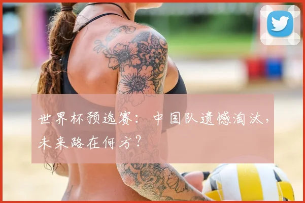 世界杯预选赛：中国队遗憾淘汰，未来路在何方？